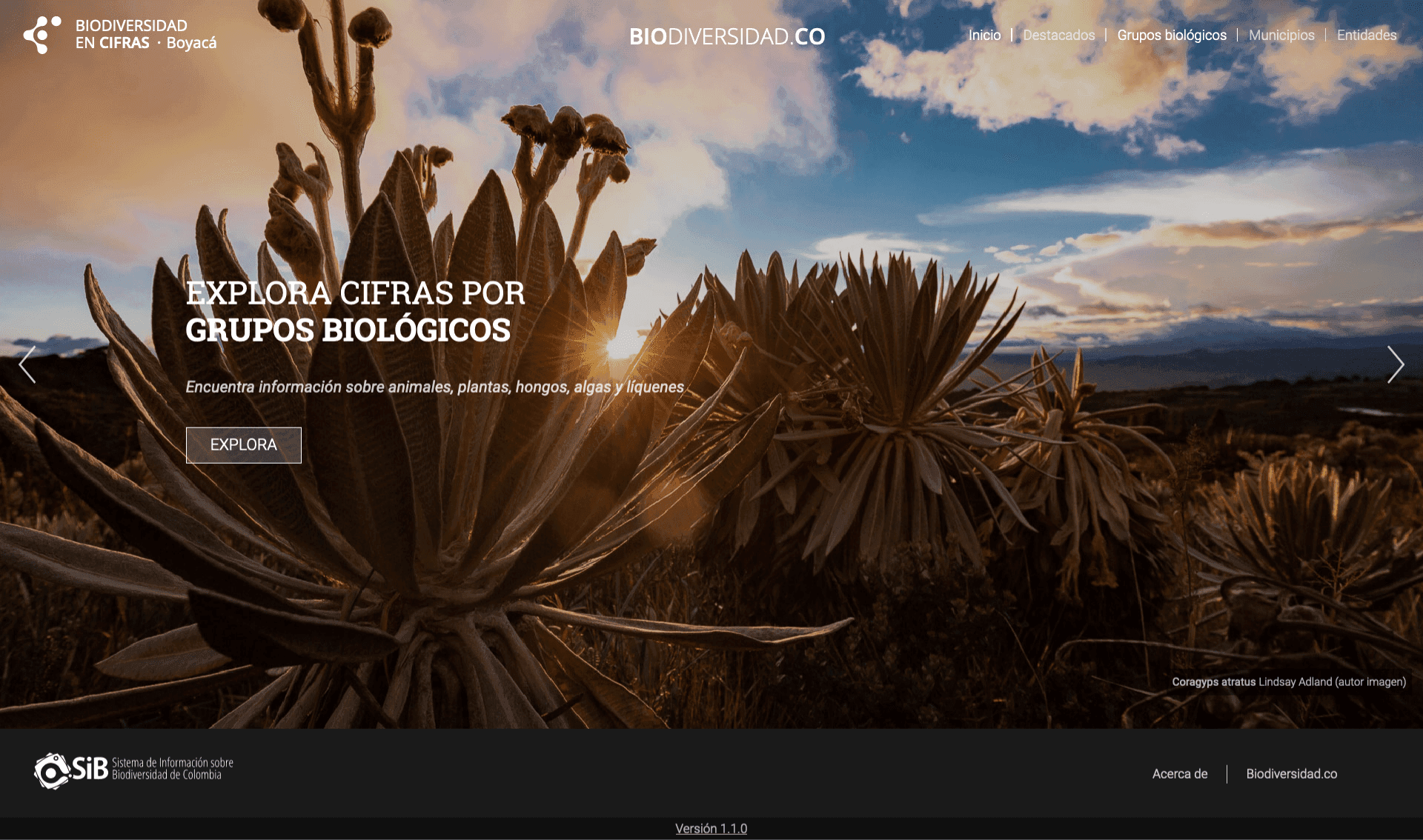 SIB Colombia — Instituto Humboldt — Turning raw biodiversity data into something a policymaker can actually use